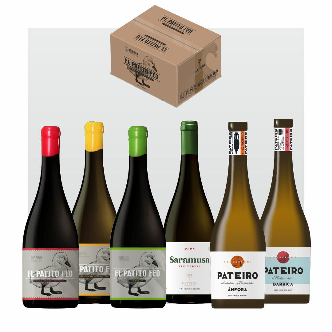 Caja de 6 botellas con las 6 marcas