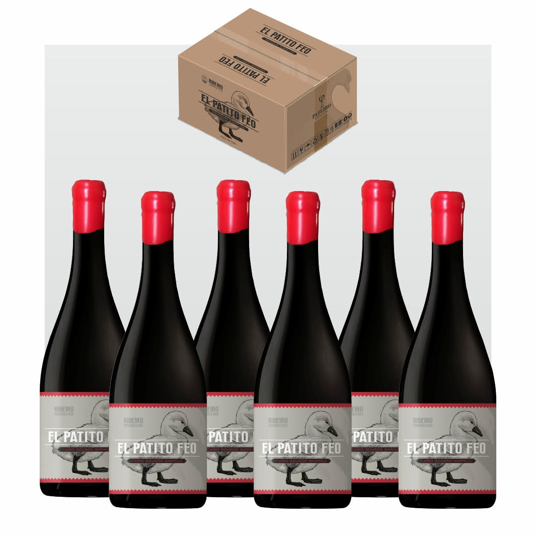 Caja de 6 botellas Patito Feo - Caíño Sousón Barrica